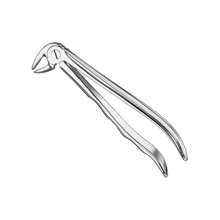 Extracting forceps, anat.